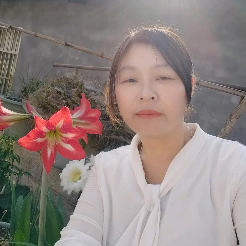 雨后的彩虹