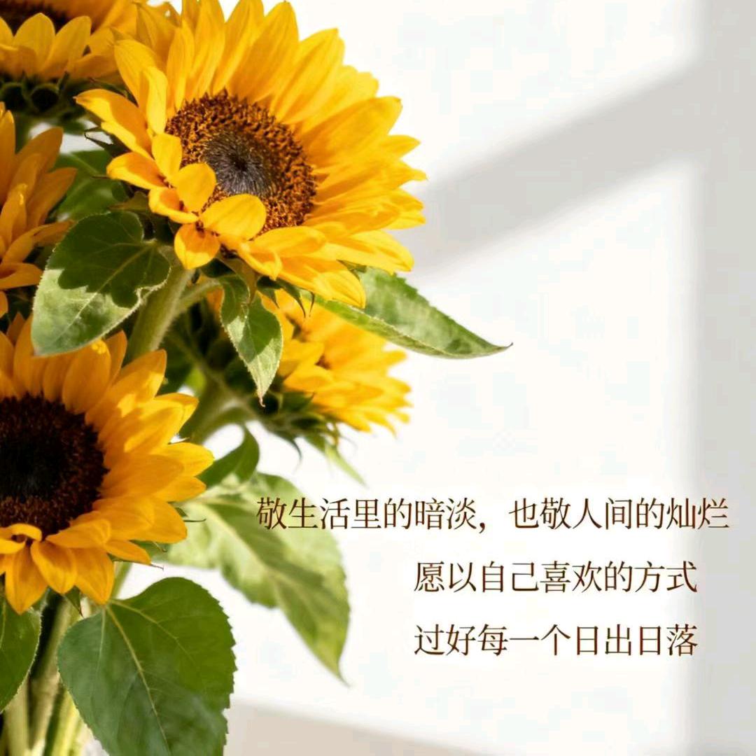 W∽H