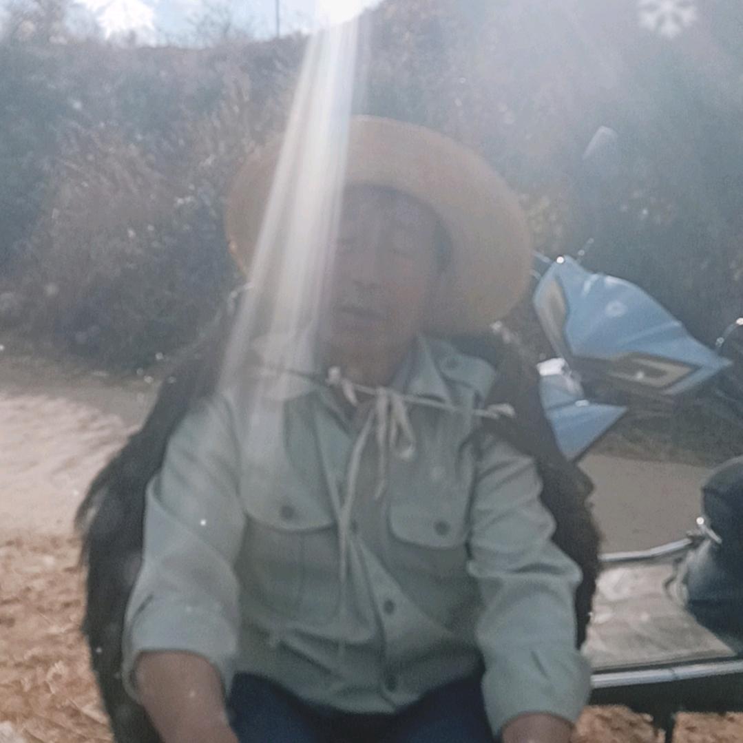 普总988