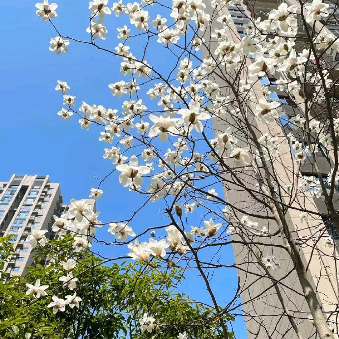 超芳前🔥🔥🔥