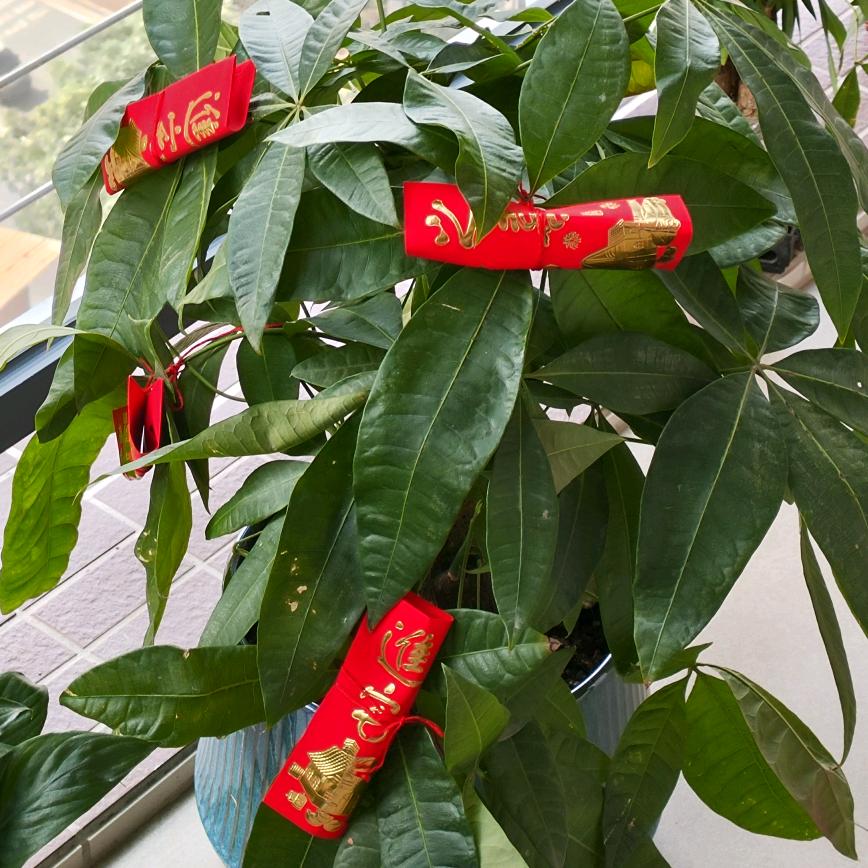 我的未来不是梦′