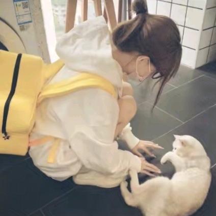 与愿违-