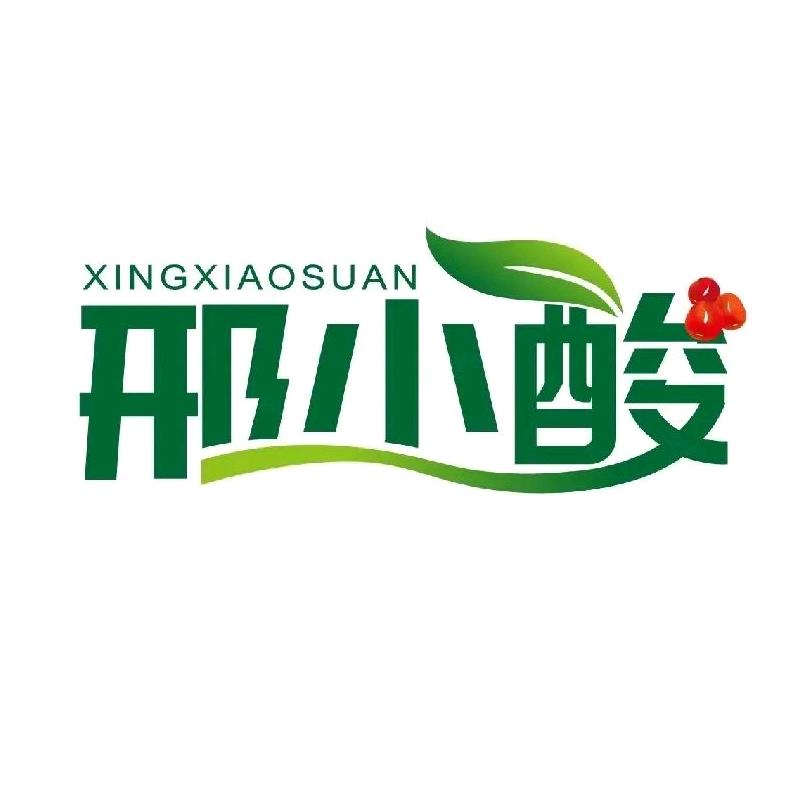 邢小酸太行酸枣