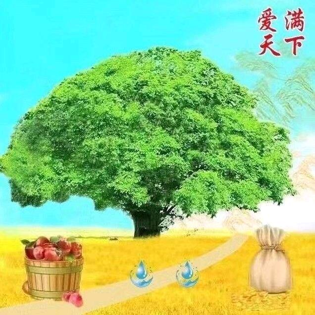 赵建利中医非医疗