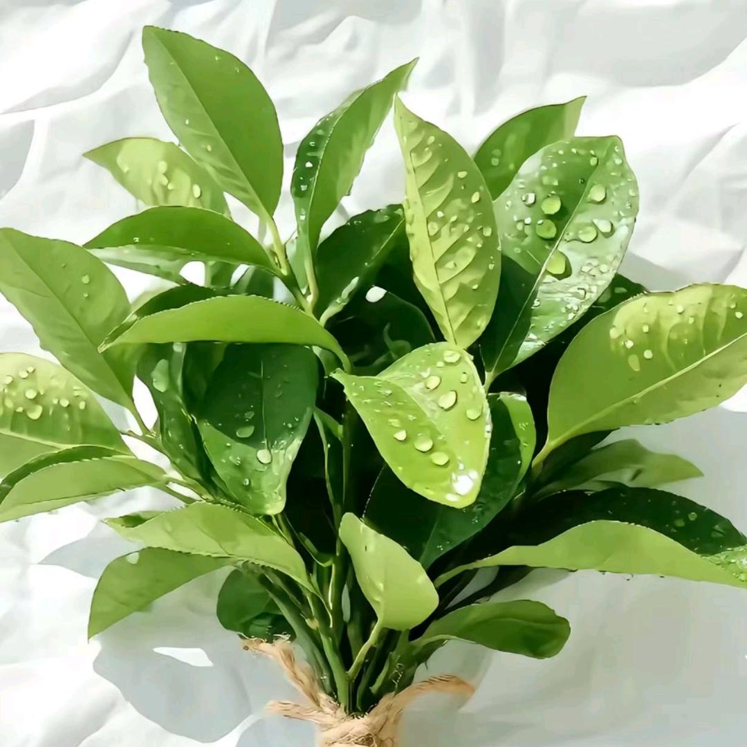 江西姑娘远嫁河南