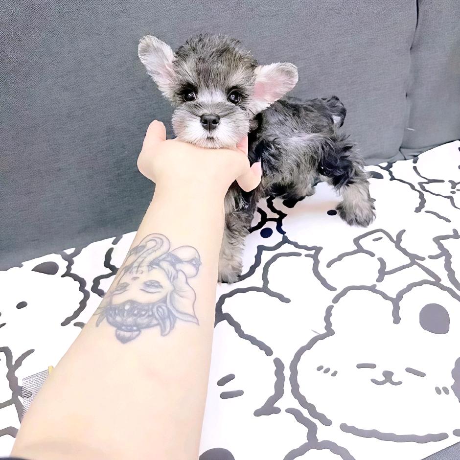 𝔃𝓱𝓲 𝔀𝓸