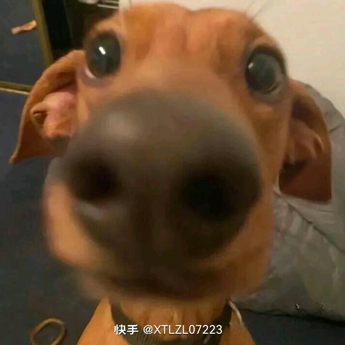 安安与嘟嘟