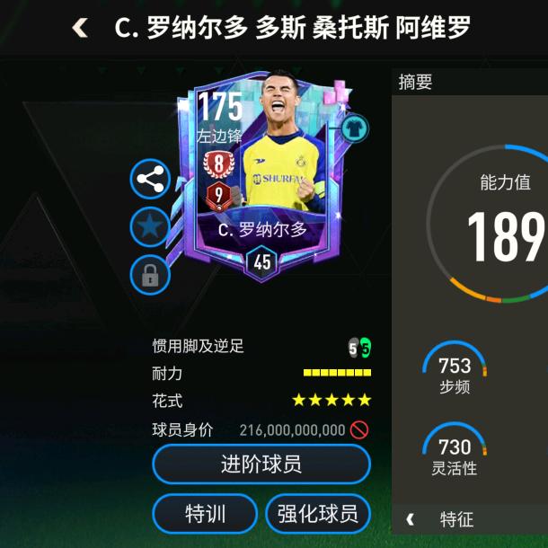 足球世界大帝亨利