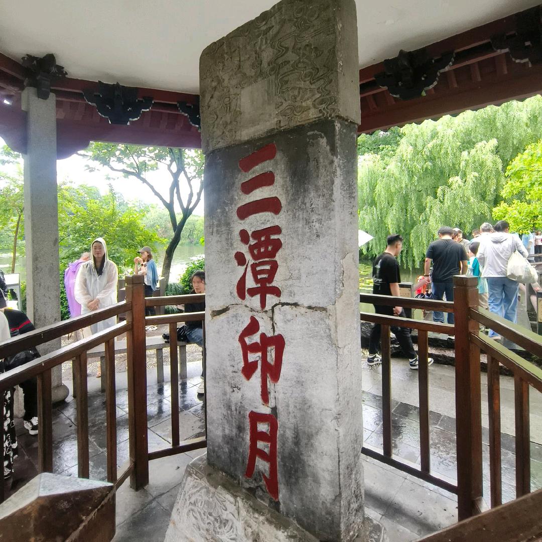 🇨🇳refreshing🇨🇳