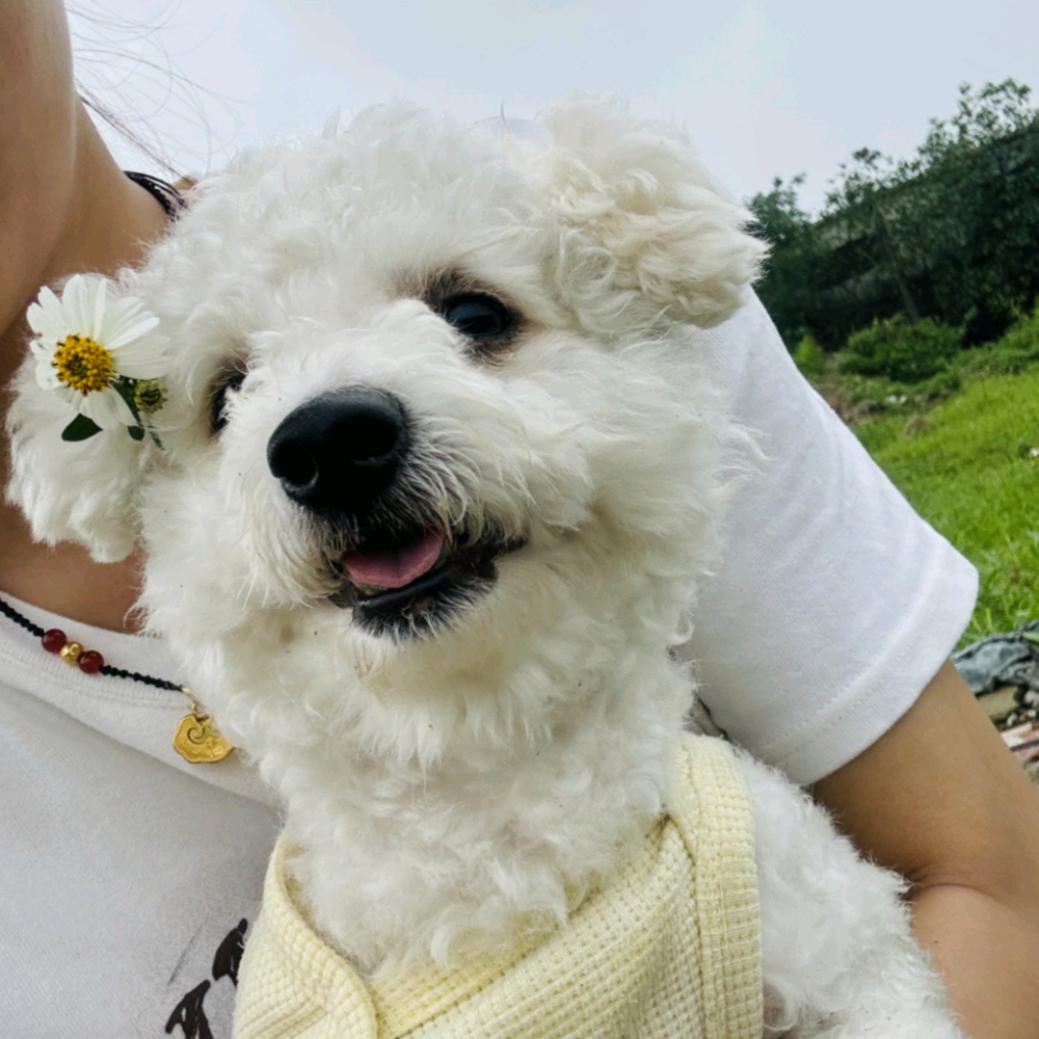 多多的麻麻
