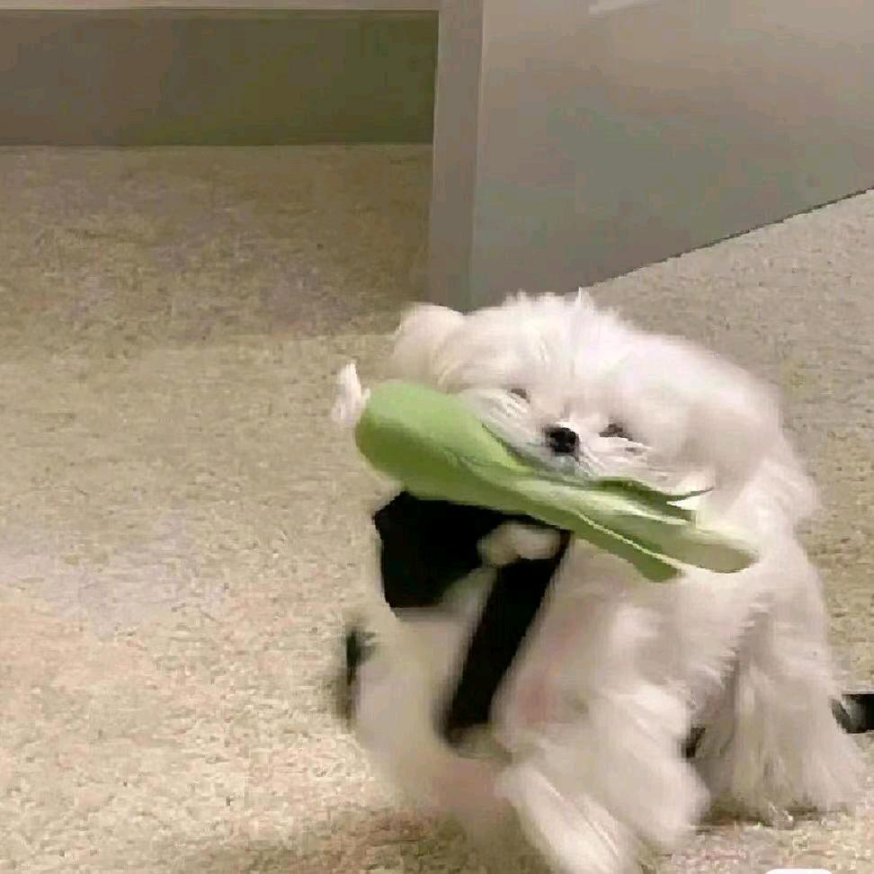 咻～
