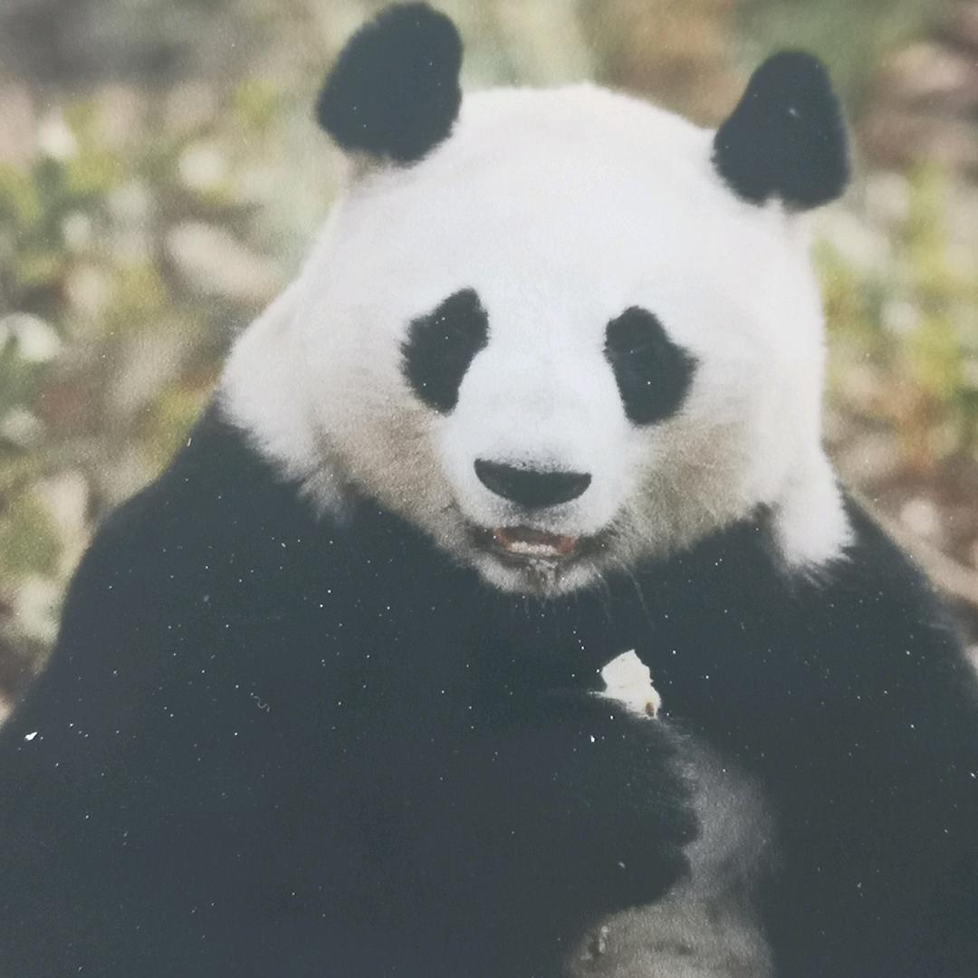曲琦www.