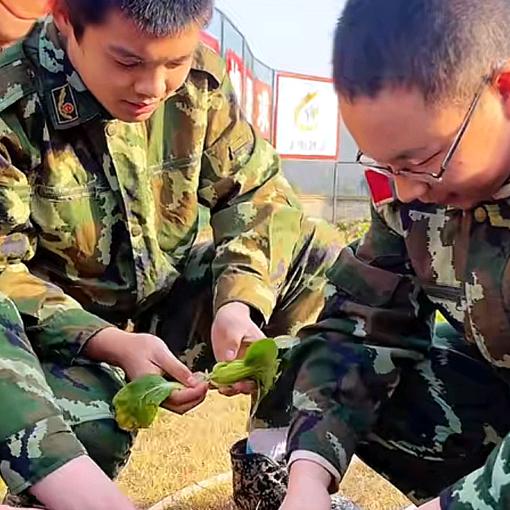 青少年素质教育