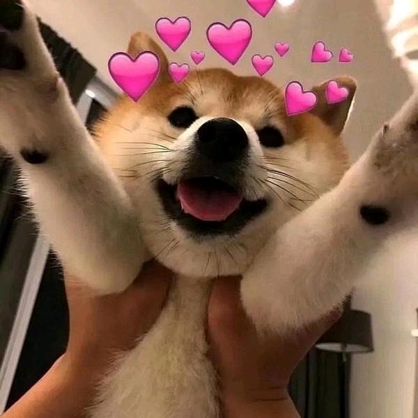 ༺ཌༀൢ執💞🌹念ༀൢༀད༻