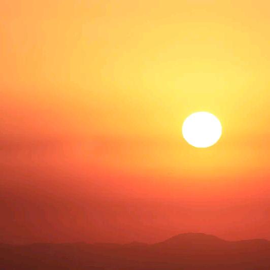 新农人♠新启点