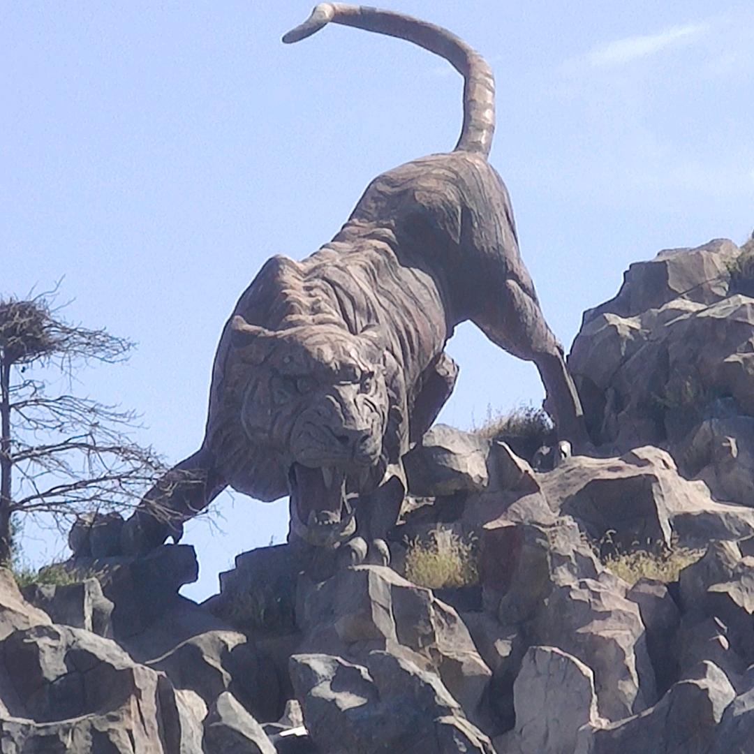 生活不止眼前的苟且