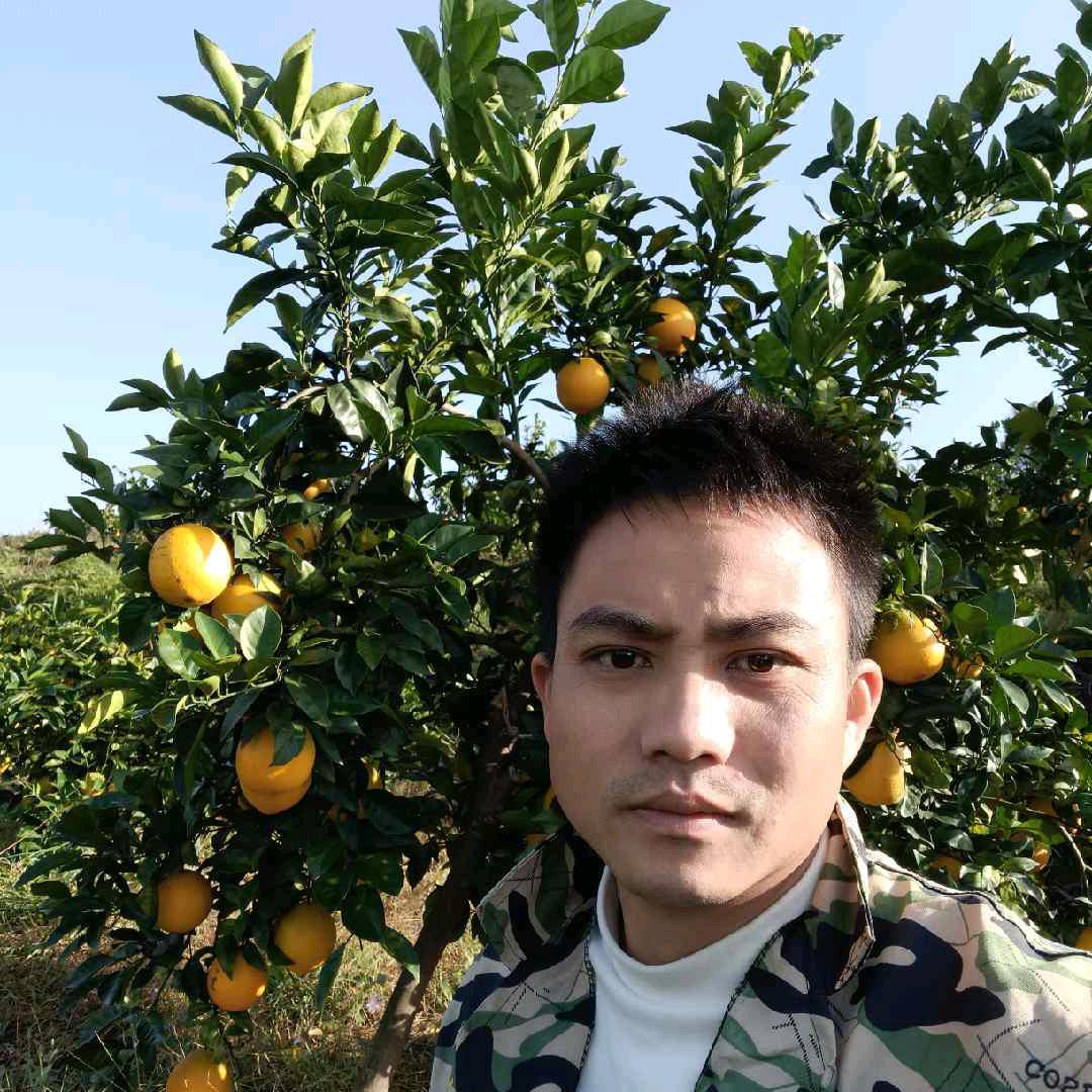 乡土农场优品小铺