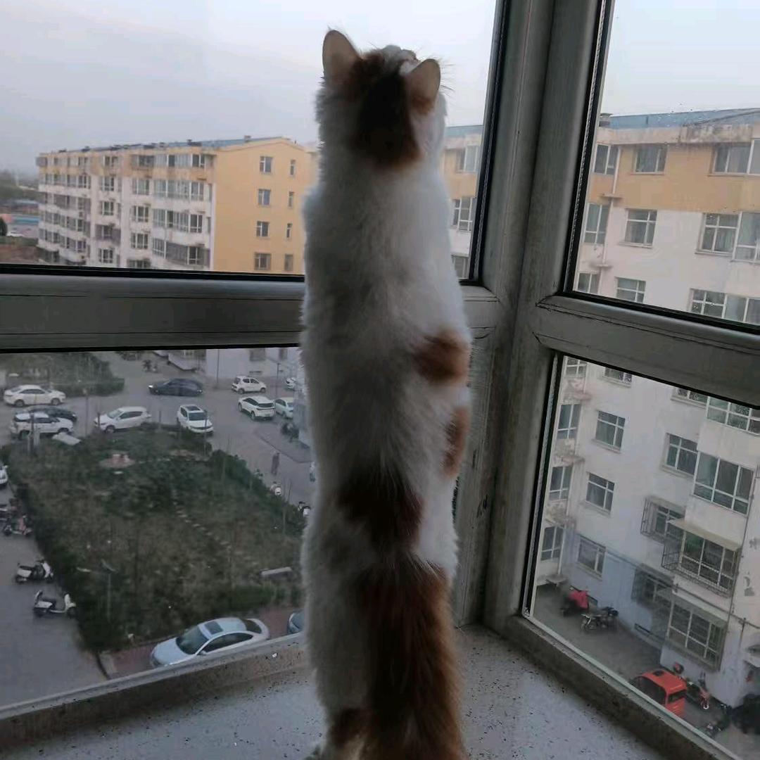 过期的工程人！不过期！！！