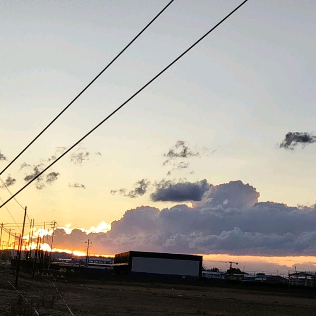 禅