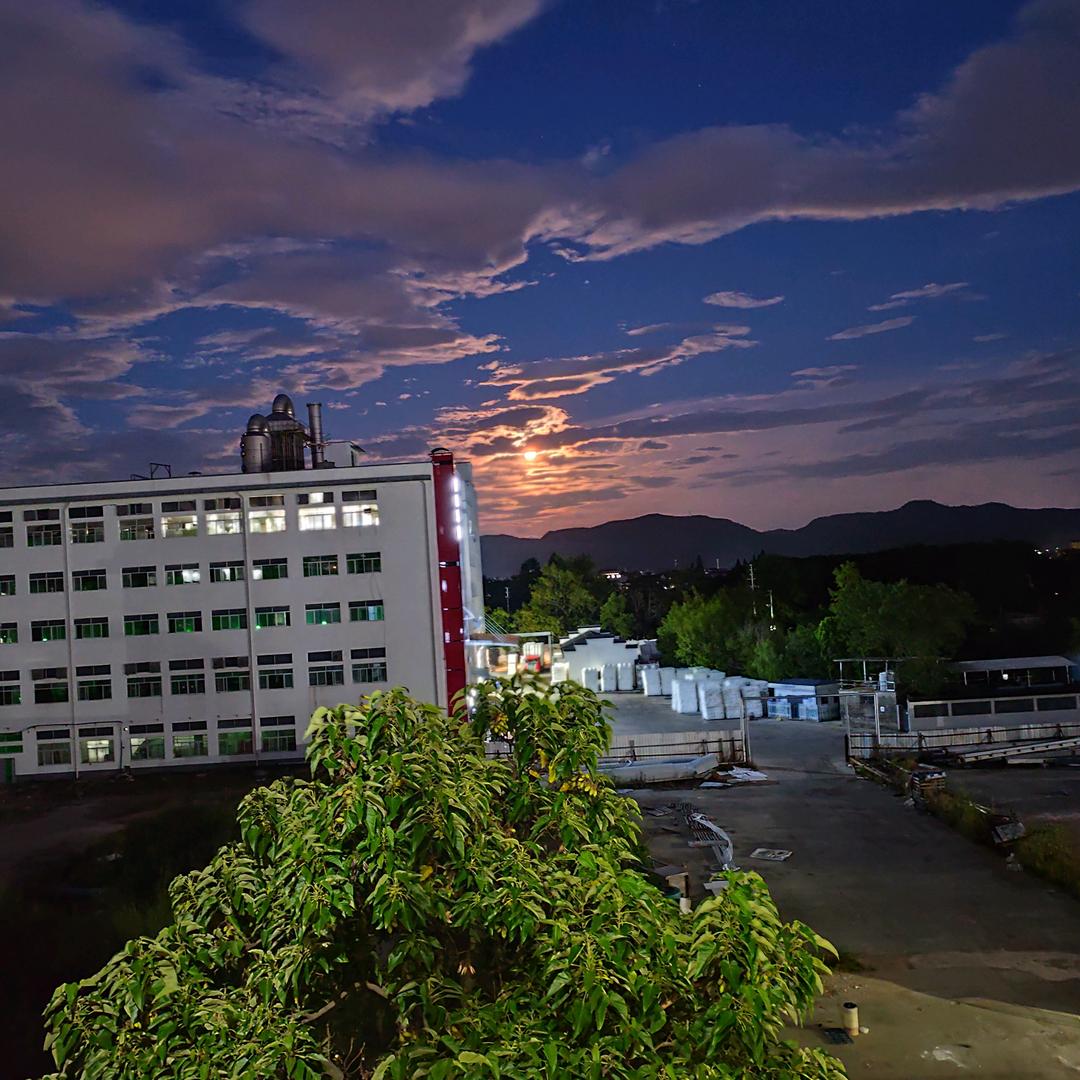 板彪