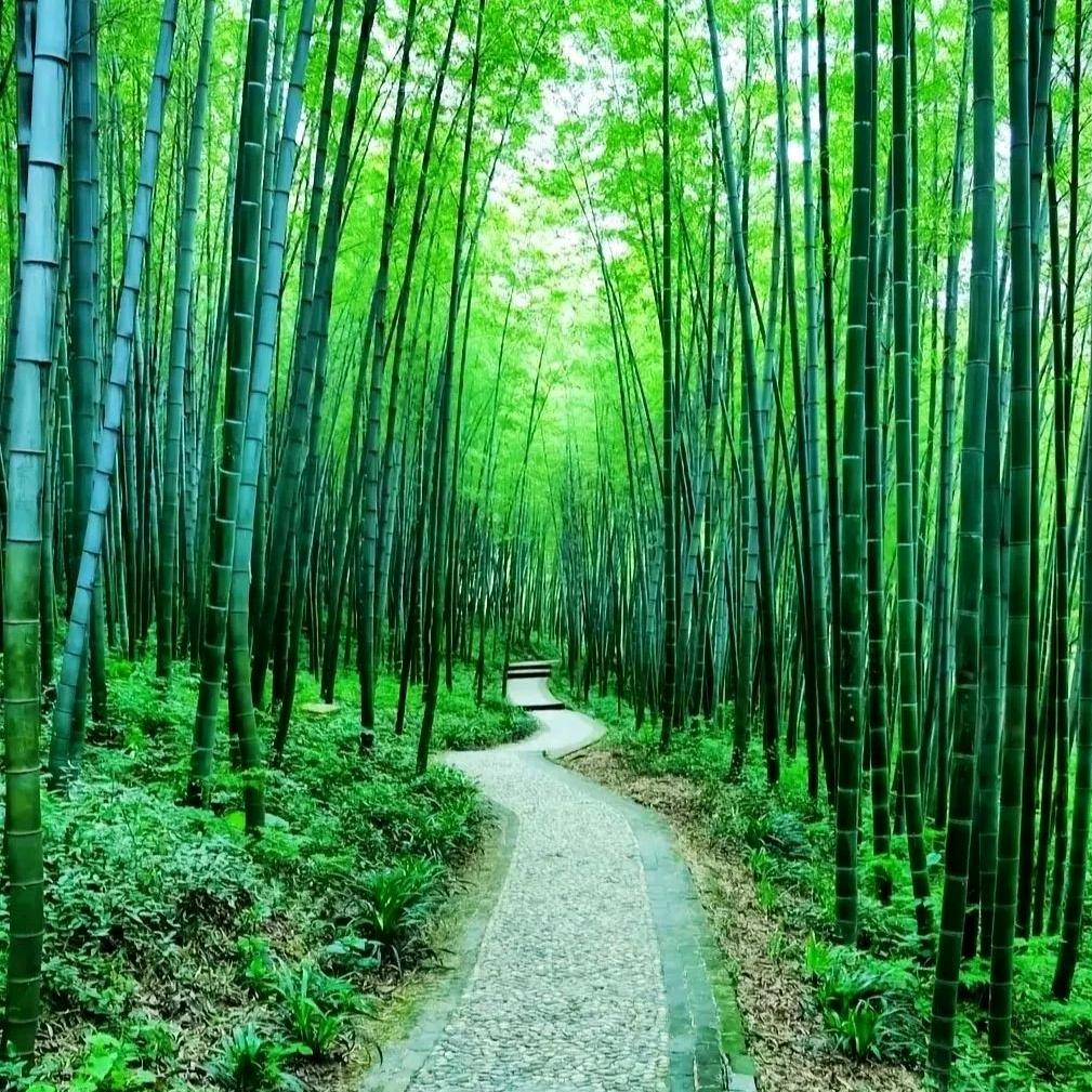 平淡是福