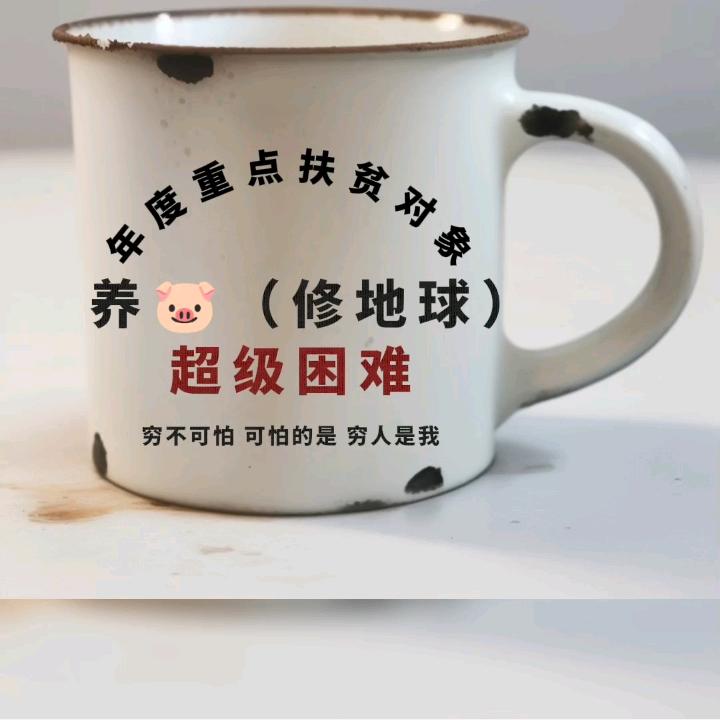 养🐖（修地球）