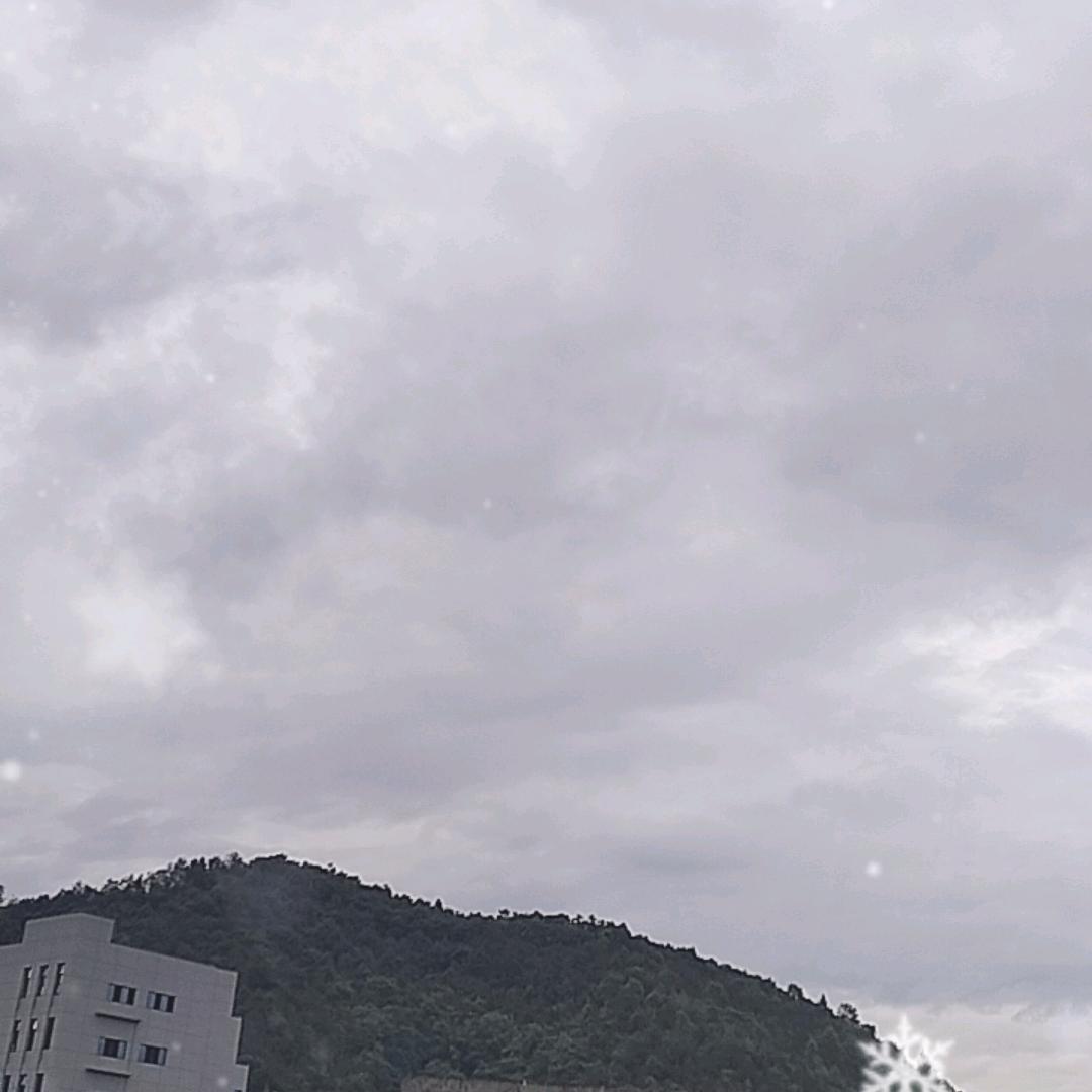 左东