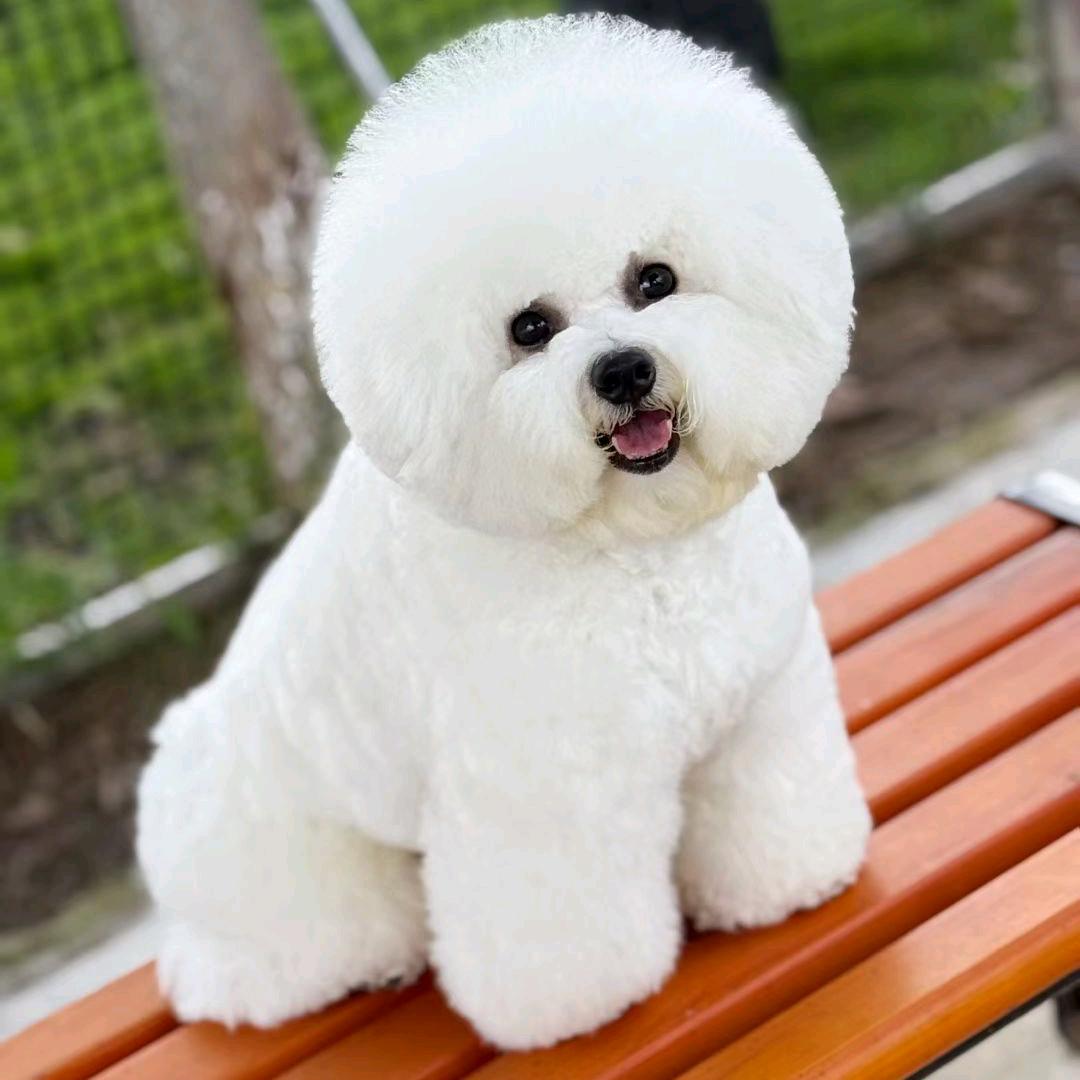 襄垣小米爱宠屋东湖店