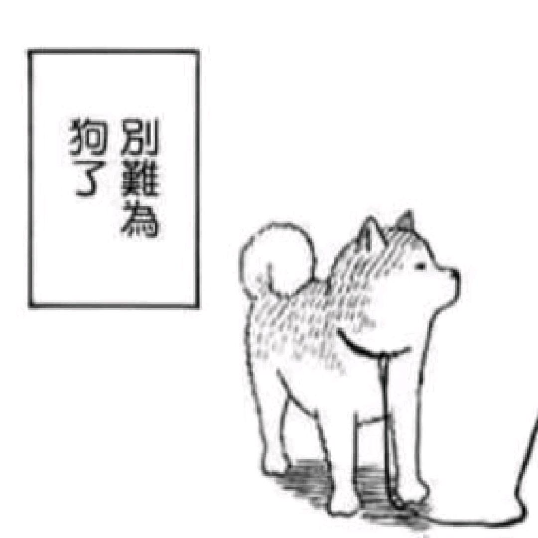 我的辅导员是傻狗