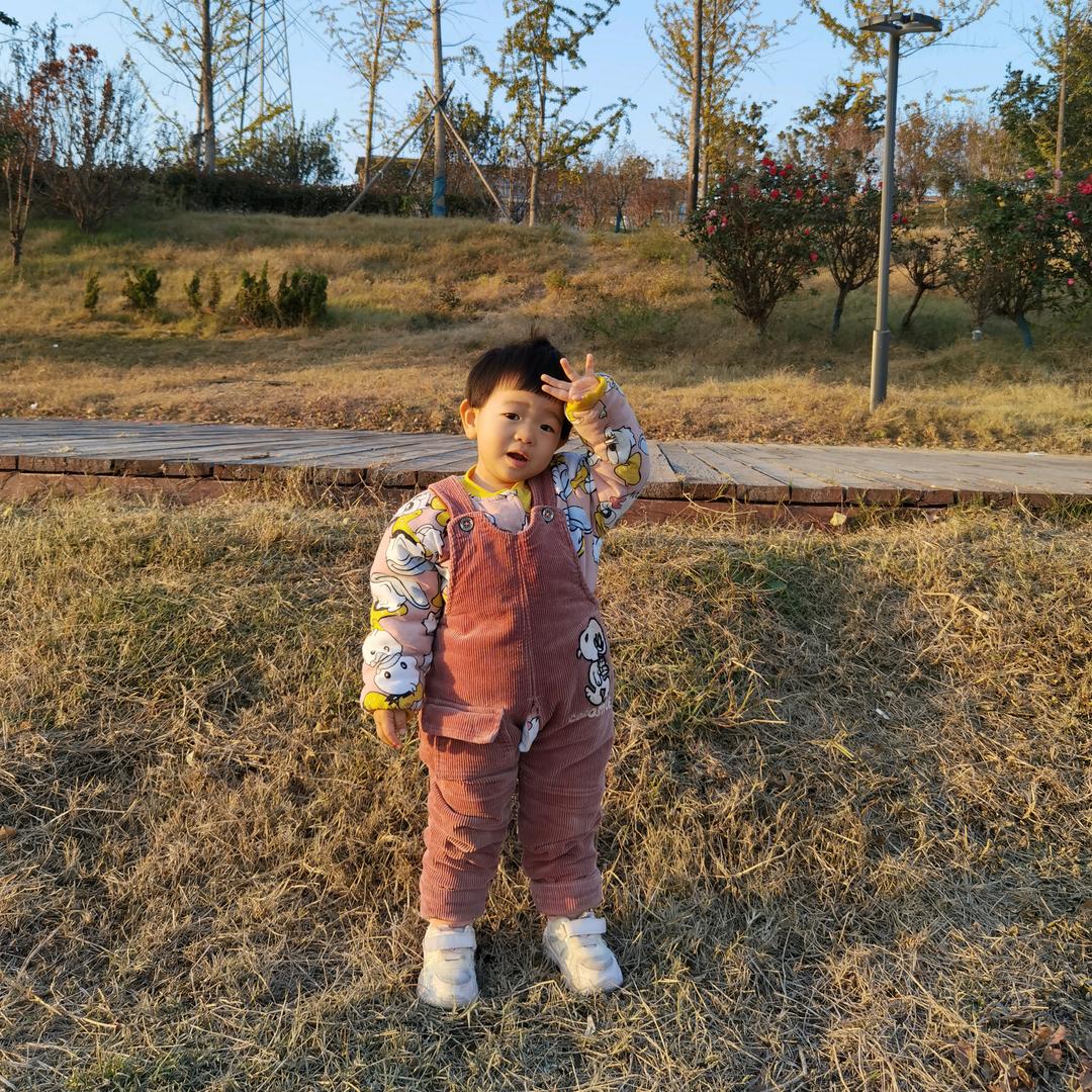 萤火虫不发光🪱