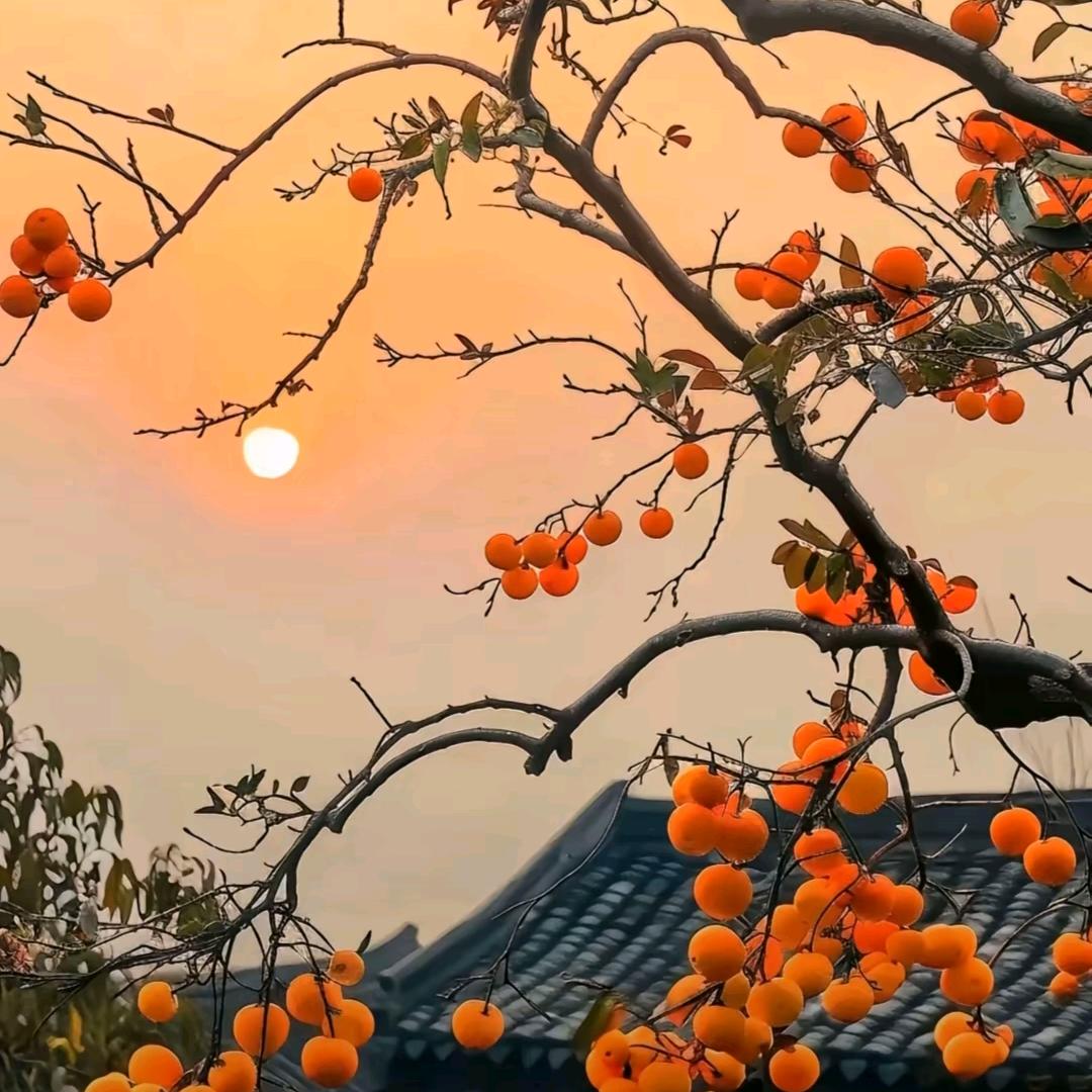 ☞小幸运