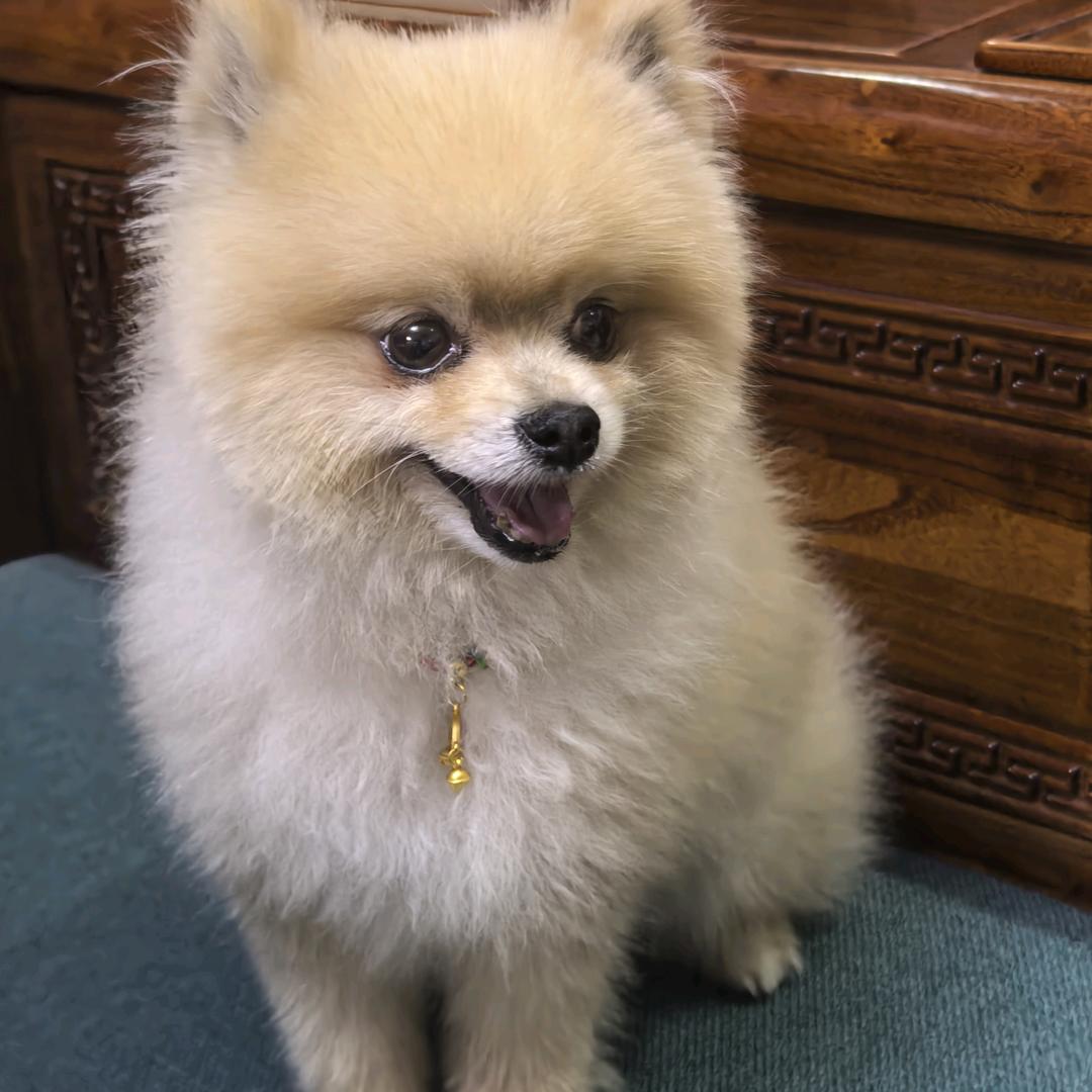 来人间走个过场