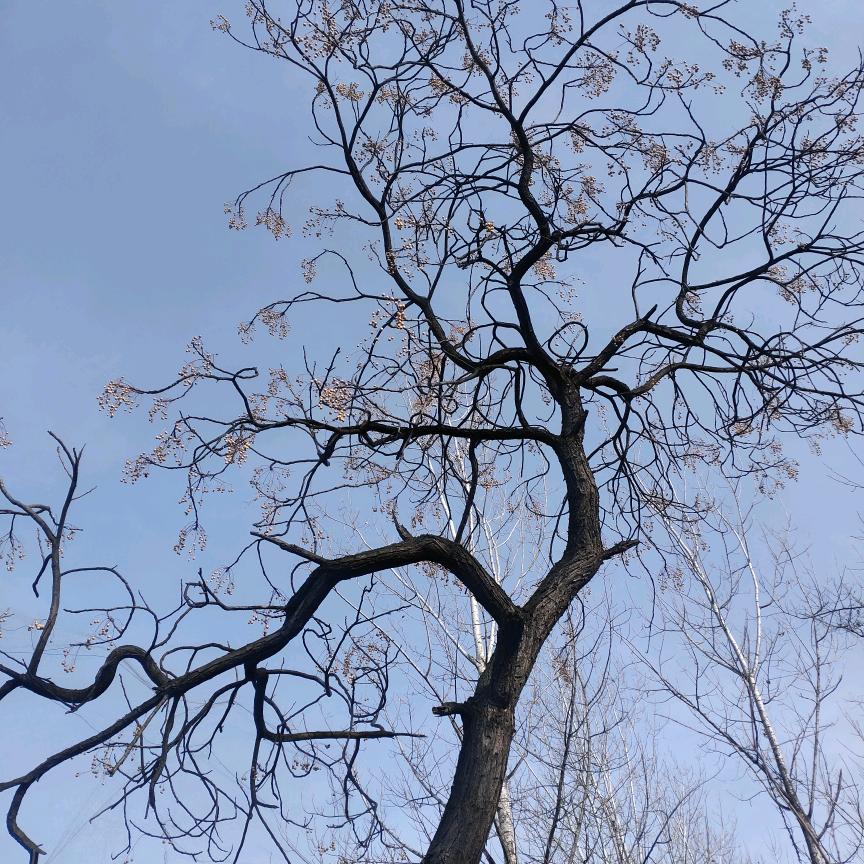 泌阳正能量~王姐