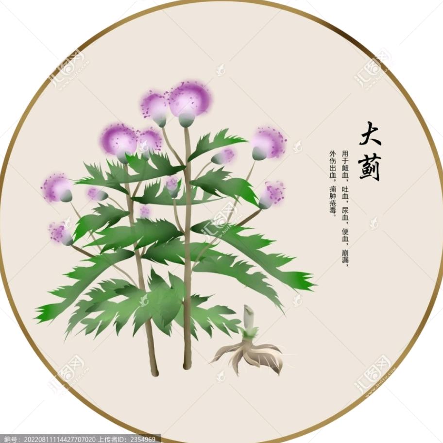 大蓟☞小蓟