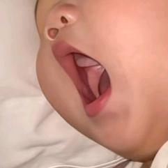 小菠萝胖胖胖