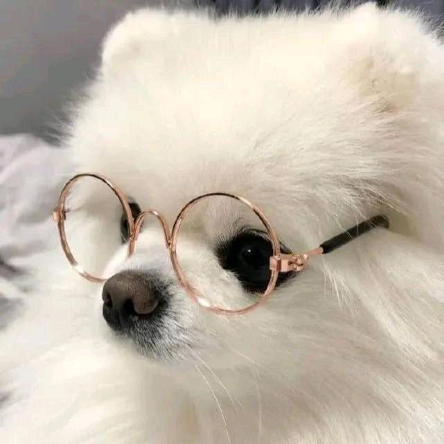 🌈阿离.
