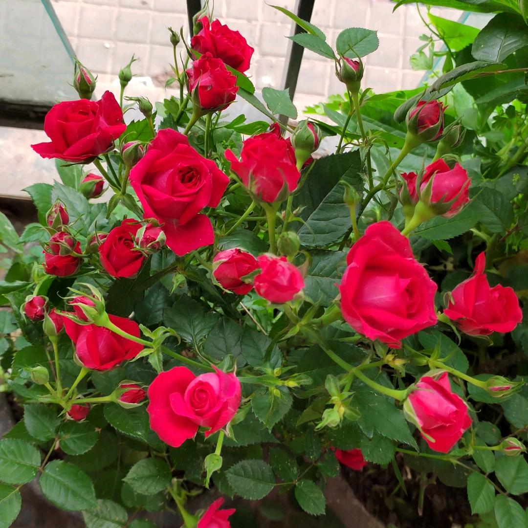 致远水电建材配送中心