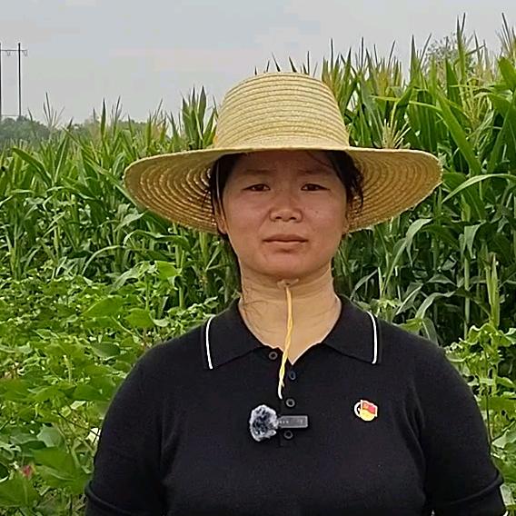 常德助农村干周蓉(今晚8点进我直播间)