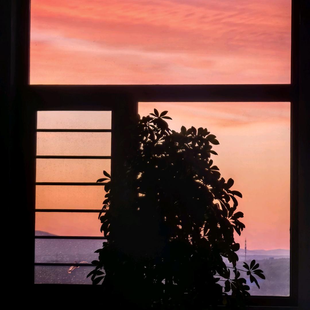 平安健康最重要