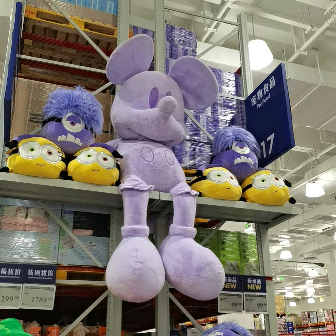 🧚‍♀️🧚‍♀️🧚‍♀️🧚‍♀️