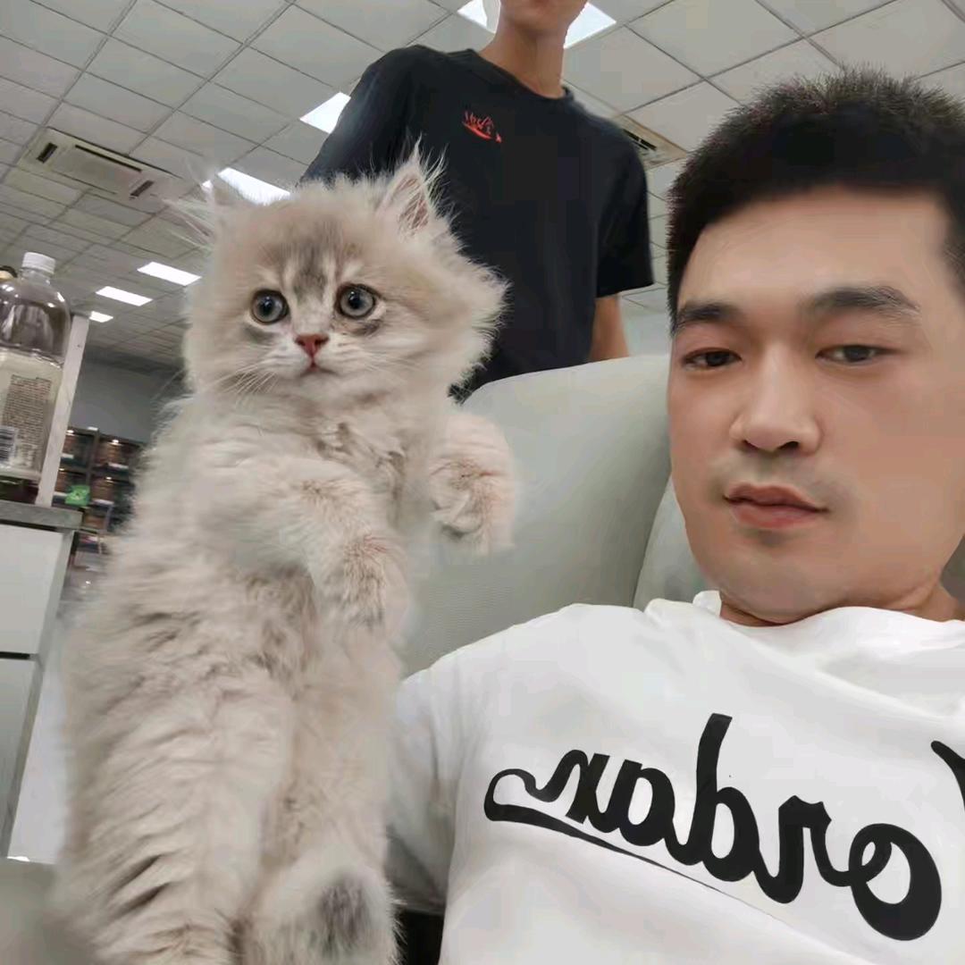 照顾宠物