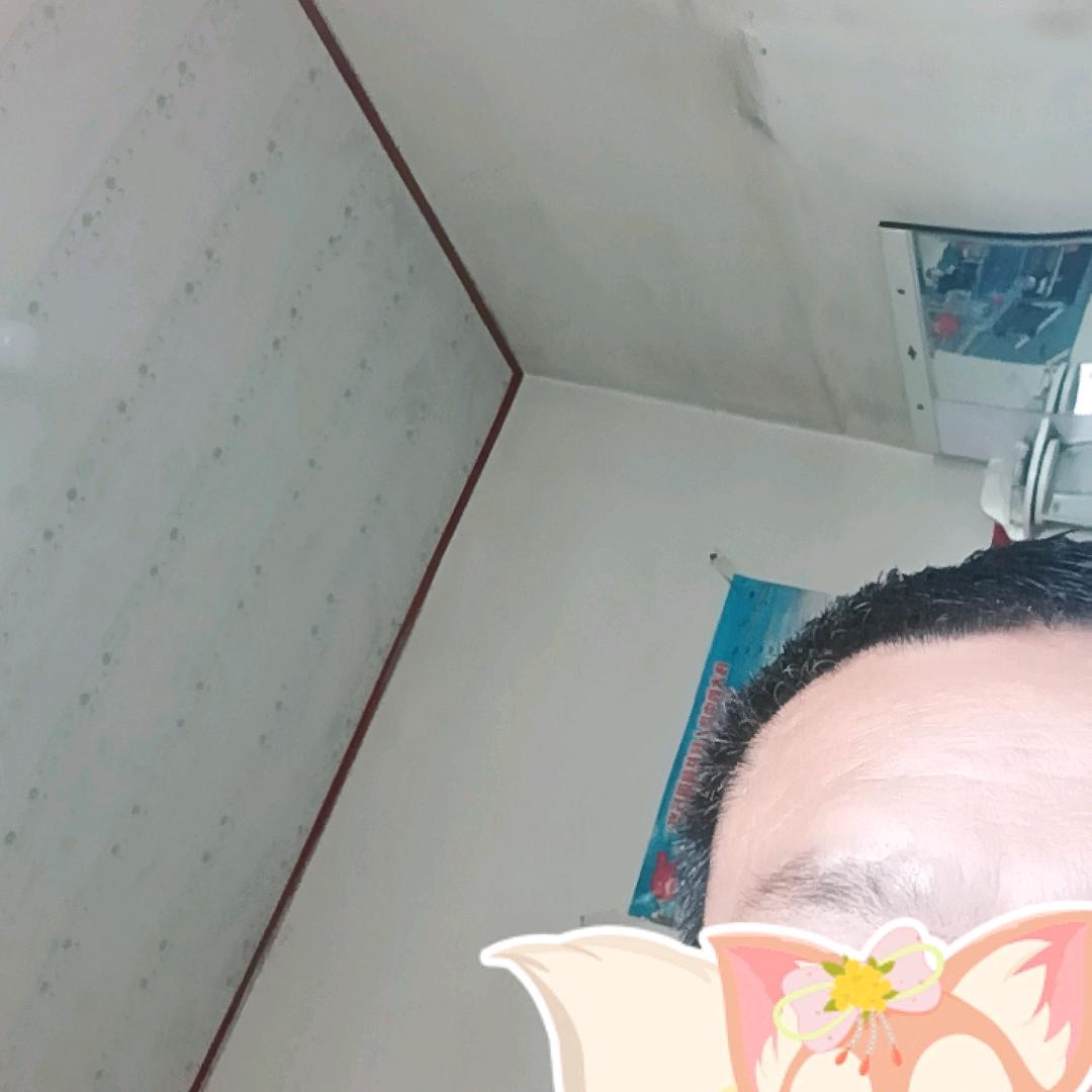 楠楠