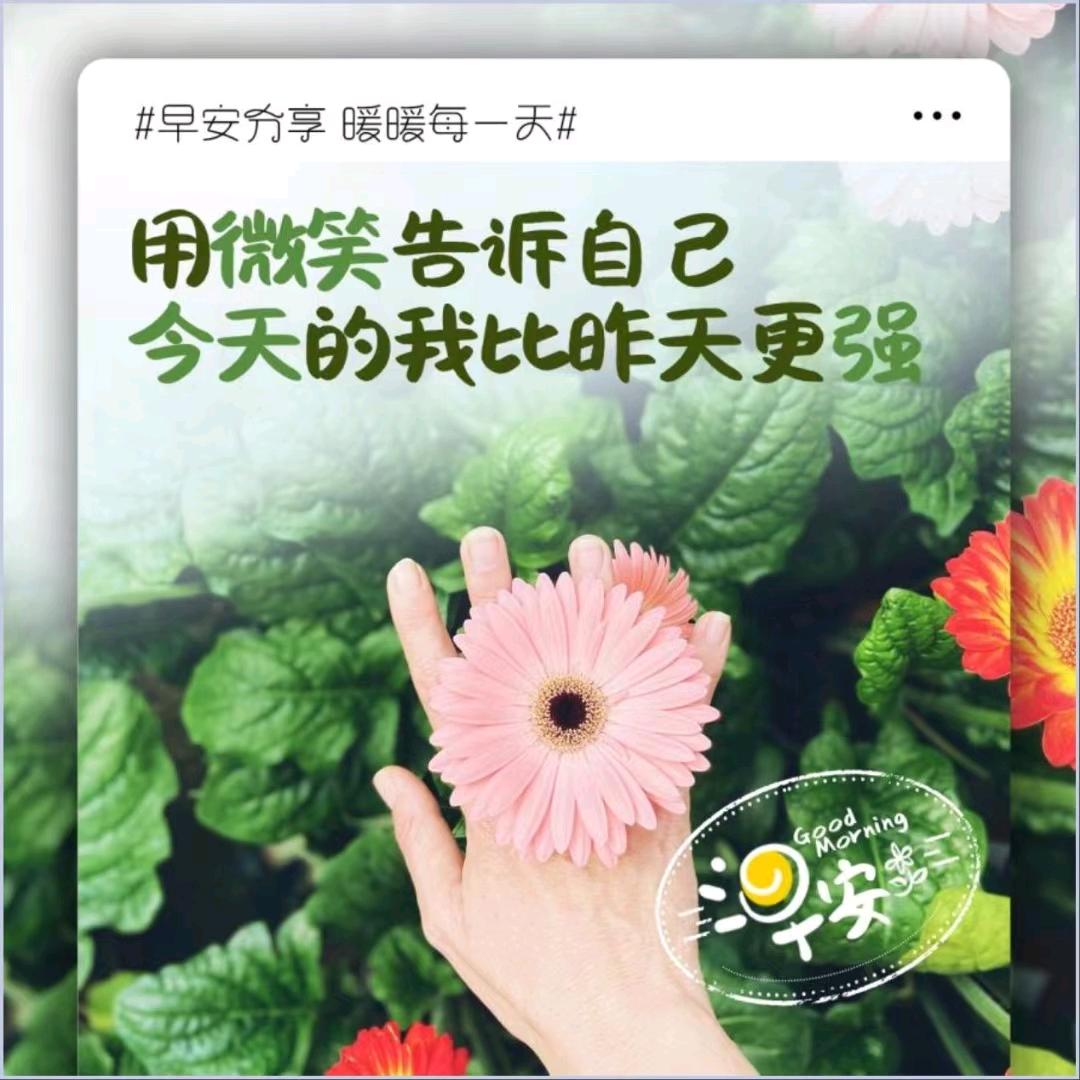 艾丽