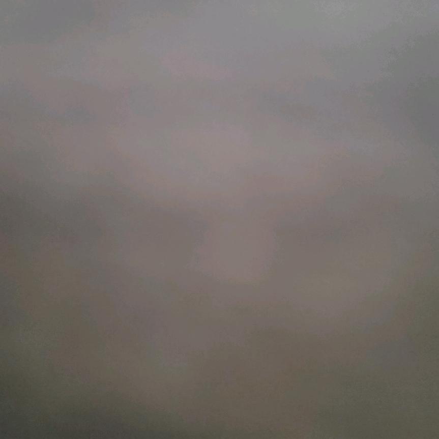 寒梅傲雪上石