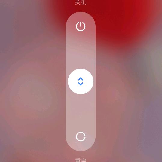 WF123456@头像