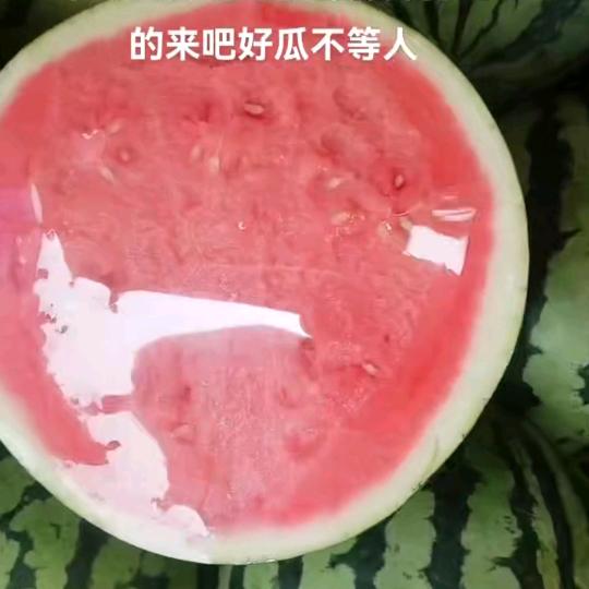 @小奇水果(记录摆摊生活）