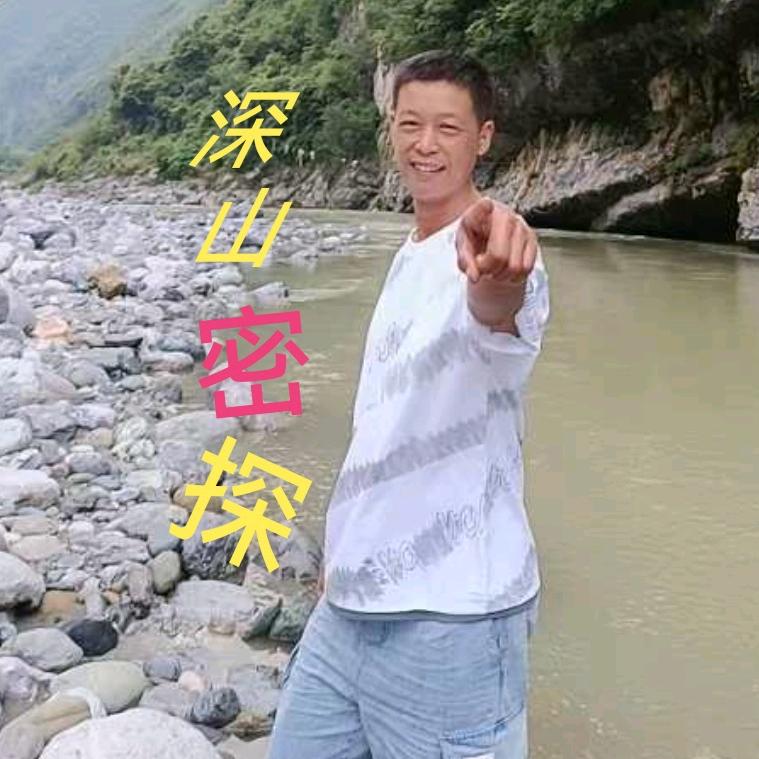 深山密探