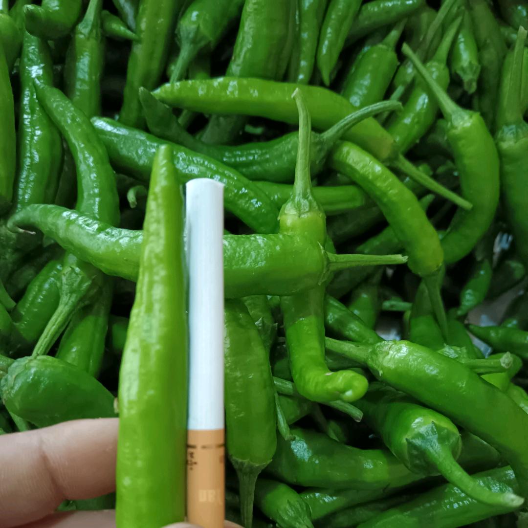 👷爱～玛～仕🧚‍♂️