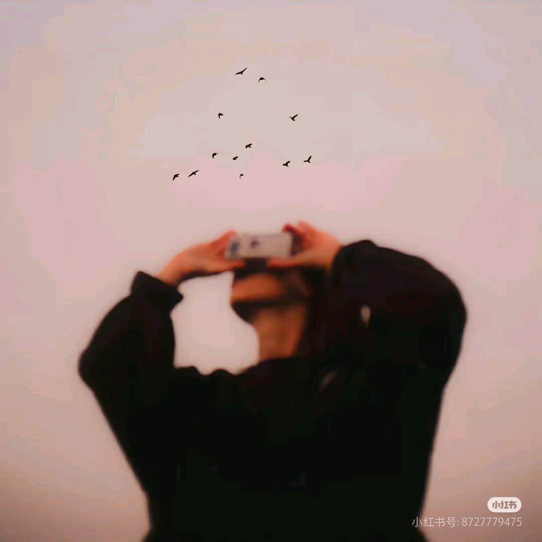 小鑫s(无畏契约）
