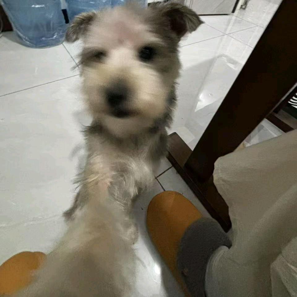我老婆真瘦